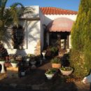 バローロ（愛知県　岡崎市）1